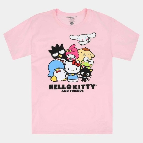 HELLO KITTY AND FRIENDS by SANRIO Group Boyfriend Fit T-Shirt in Pink - Picture 1 of 4